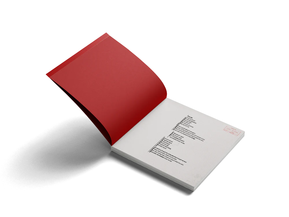 RUSHMERE: 'Almost Places Recycled Red Vinyl' Deluxe LP - Image 9